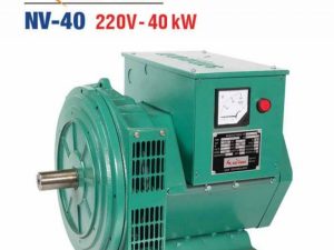 CỦ PHÁT ĐIỆN NAI VÀNG NV-40 (40KW)