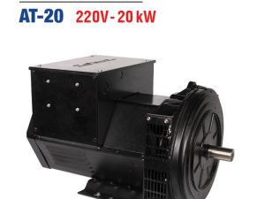 CỦ PHÁT ĐIỆN NAI VÀNG AT-20 (20KW)