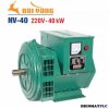 CỦ PHÁT ĐIỆN NAI VÀNG NV-40 (40KW)